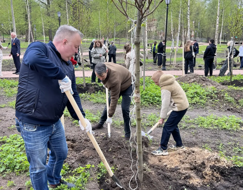 В Петропавловском парке высадили деревья согласно исторического дендроплана В Петропавловском парке высадили деревья согласно исторического дендроплана